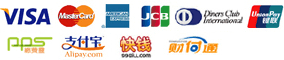 Visa, MasterCard, Amercan Express, JCB, China UnionPay PPS, AliPay, 99Bill, TenPay, DinersClub, Paypal